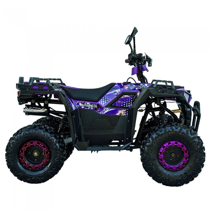 kvadrocikl-sp125-11-purple