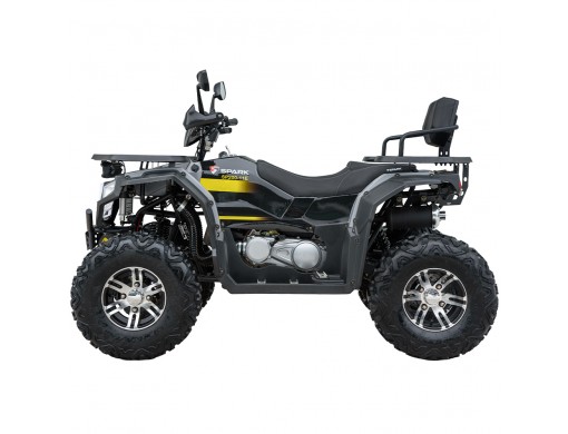Квадроцикл SP200-11Е