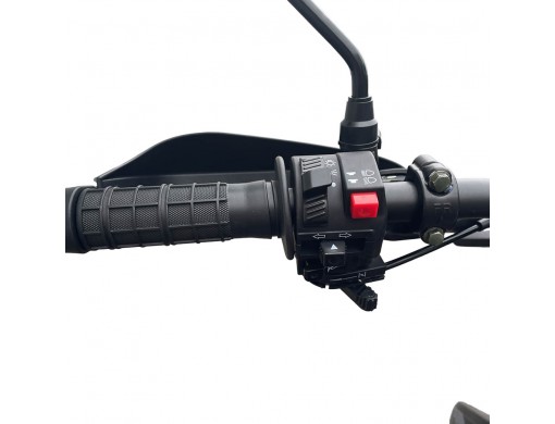 Мотоцикл SP300E-12