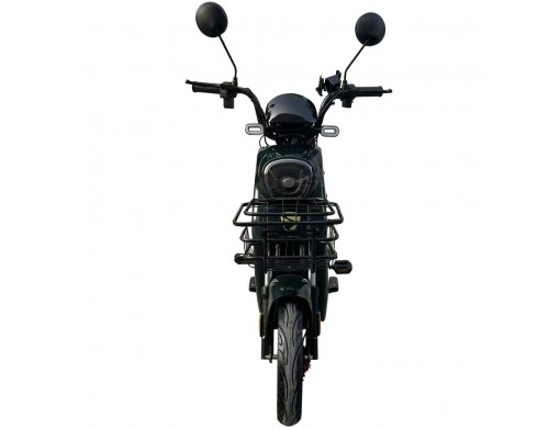 Велосипед з електромотором SPARK AMP 14" 48V/800W/25Ah темно-зелений