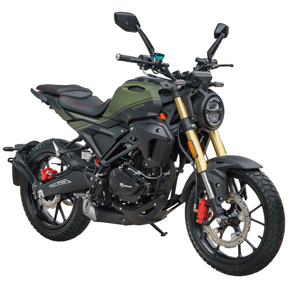 Двигун SPARK SP300RS-2