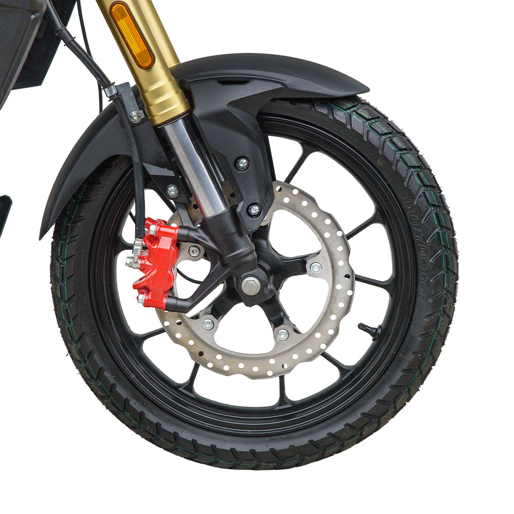 Двигун SPARK SP300RS-2